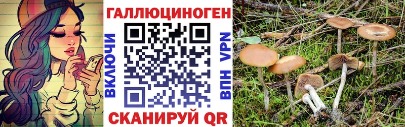 где продают наркотики  Железногорск  Галлюциногенные грибы Cubensis 